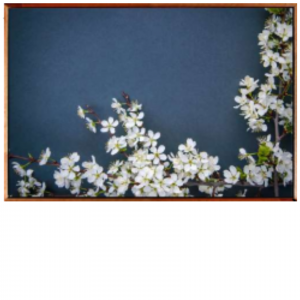 93 x 63 cm - WD112-2