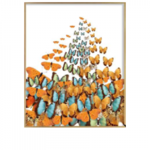 51 x 63 cm -  WD115-3