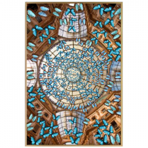 83 x 123 cm -  QD2078-2