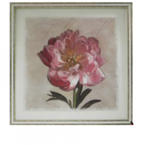 75 x 75 cm - WD145-1