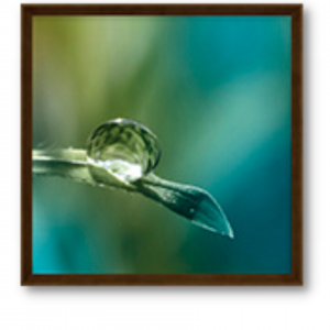 53 x 53 cm - WD013-3