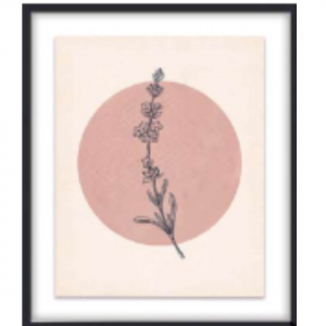 53 x 63 cm - WD116-3