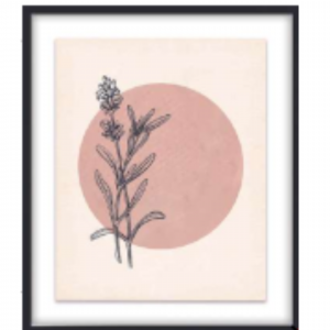 53 x 63 cm - WD116-2