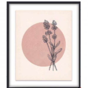 53 x 63 cm - WD116-1