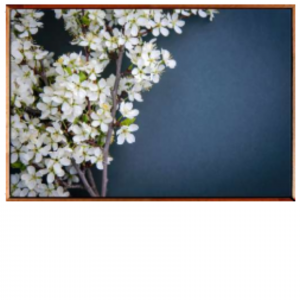 93 x 63 cm - WD112-1